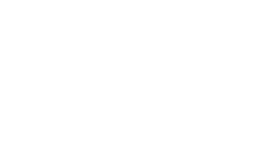 Shopify Partner