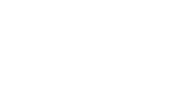 Technology Partner